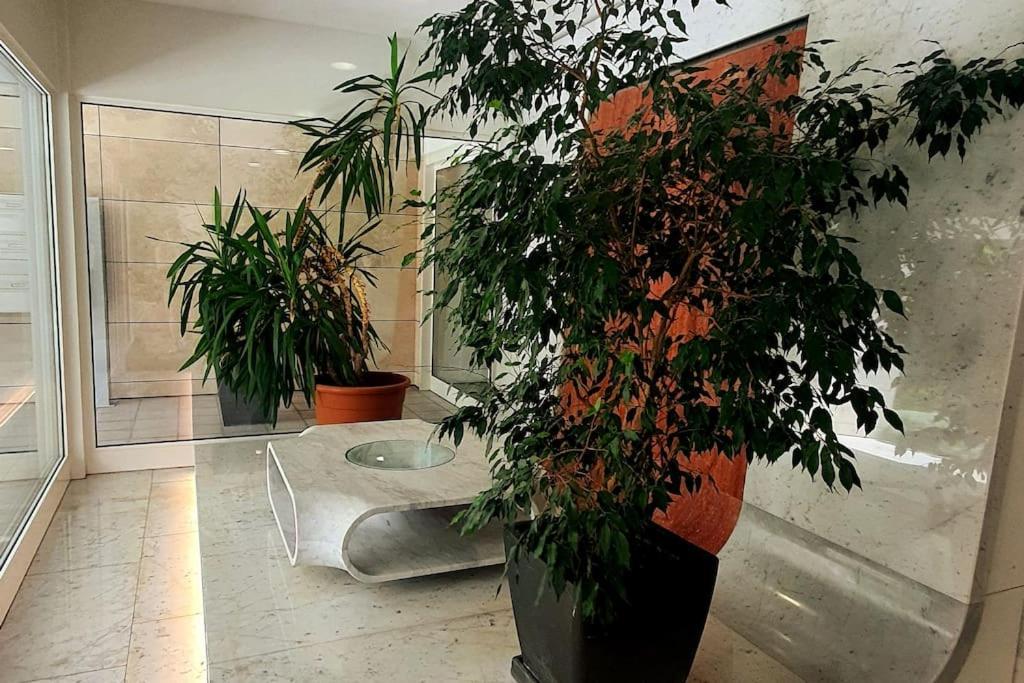 Appartamento Centrale Con Wifi E Posteggio Privato Gratis! Lugano Exterior photo